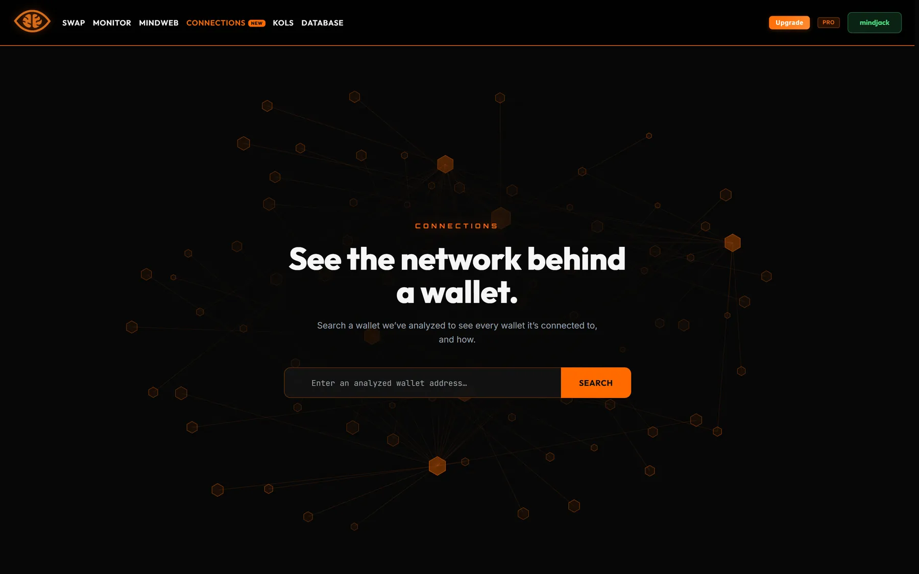 Connections landing page with a single wallet search box over an animated network backdrop
